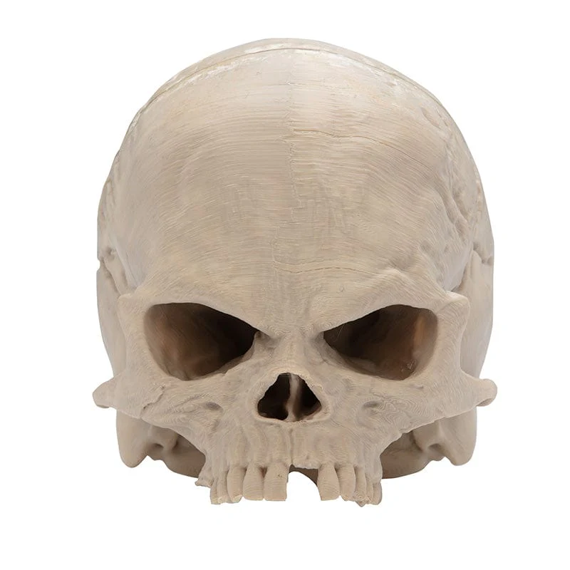 Apocalypse Now Cap Skull